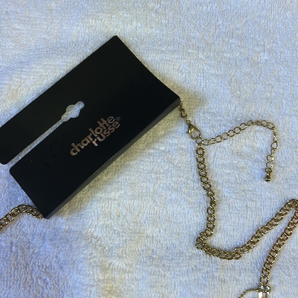 Charlotte Russe Elegant Layered Necklace - Picture 4 of 4